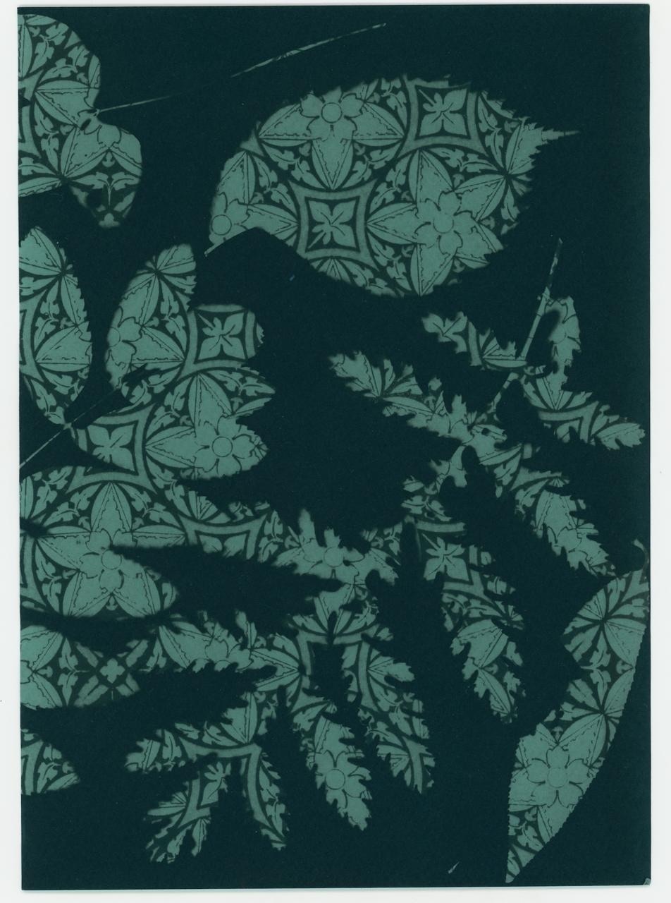 Даниил Толкалин. Цианотипия. 2025. Предоставлено автором