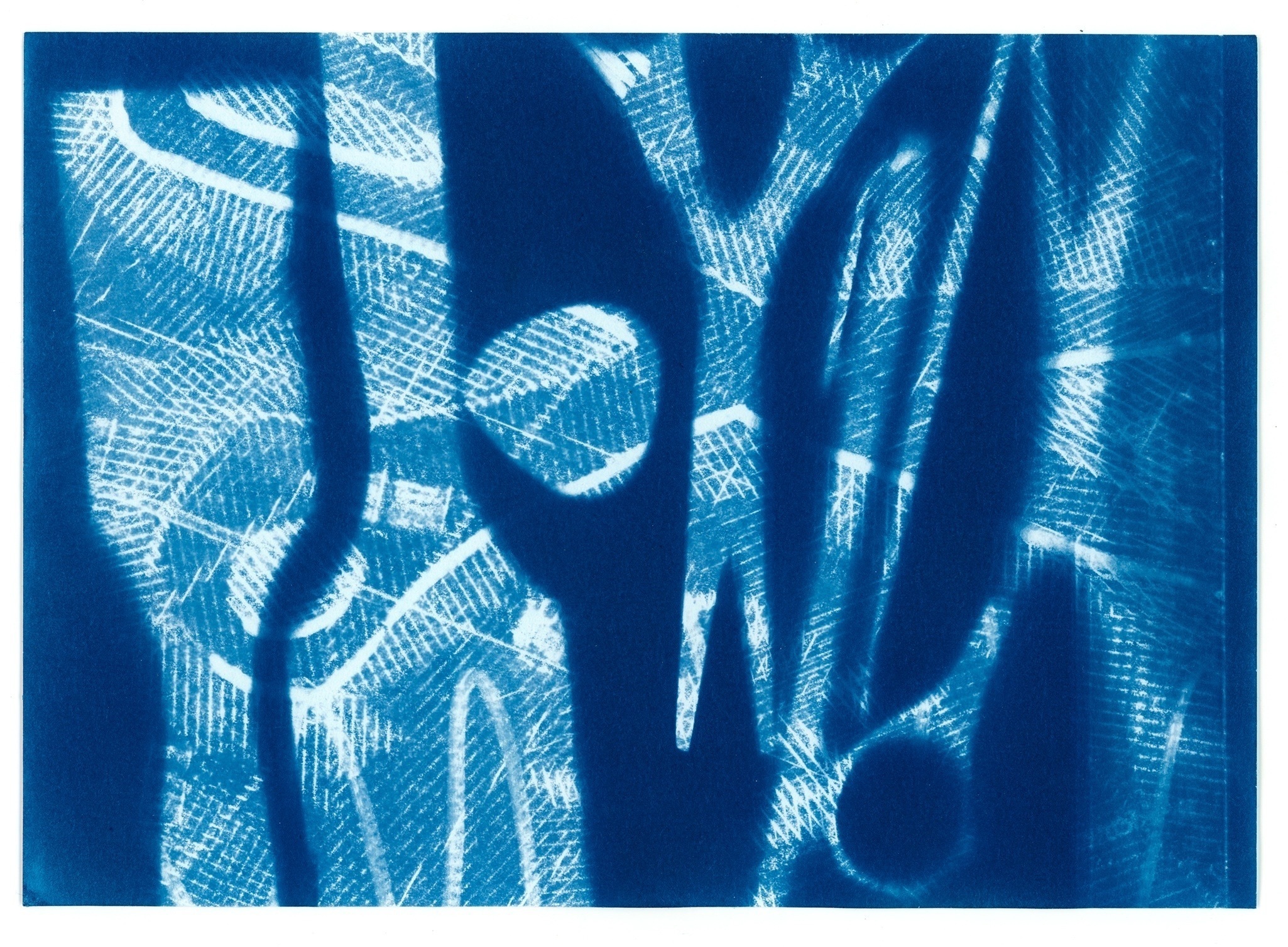 Даниил Толкалин. Цианотипия. 2025. Предоставлено автором