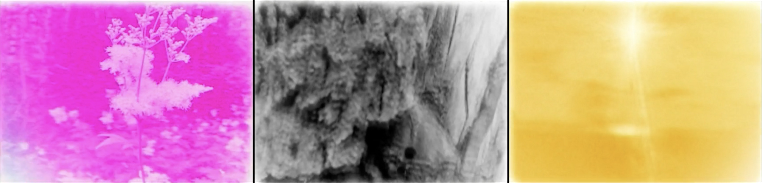 Кадр из фильма &laquo;Ветер&raquo;. Режиссер Маша Годованная. 2019