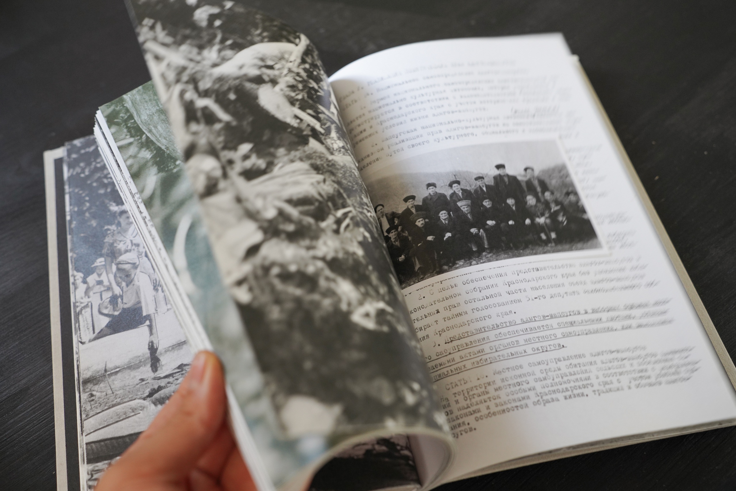 Разворот книги &laquo;Даже самшит не помнит&raquo;. 2025  Предоставлено художницей