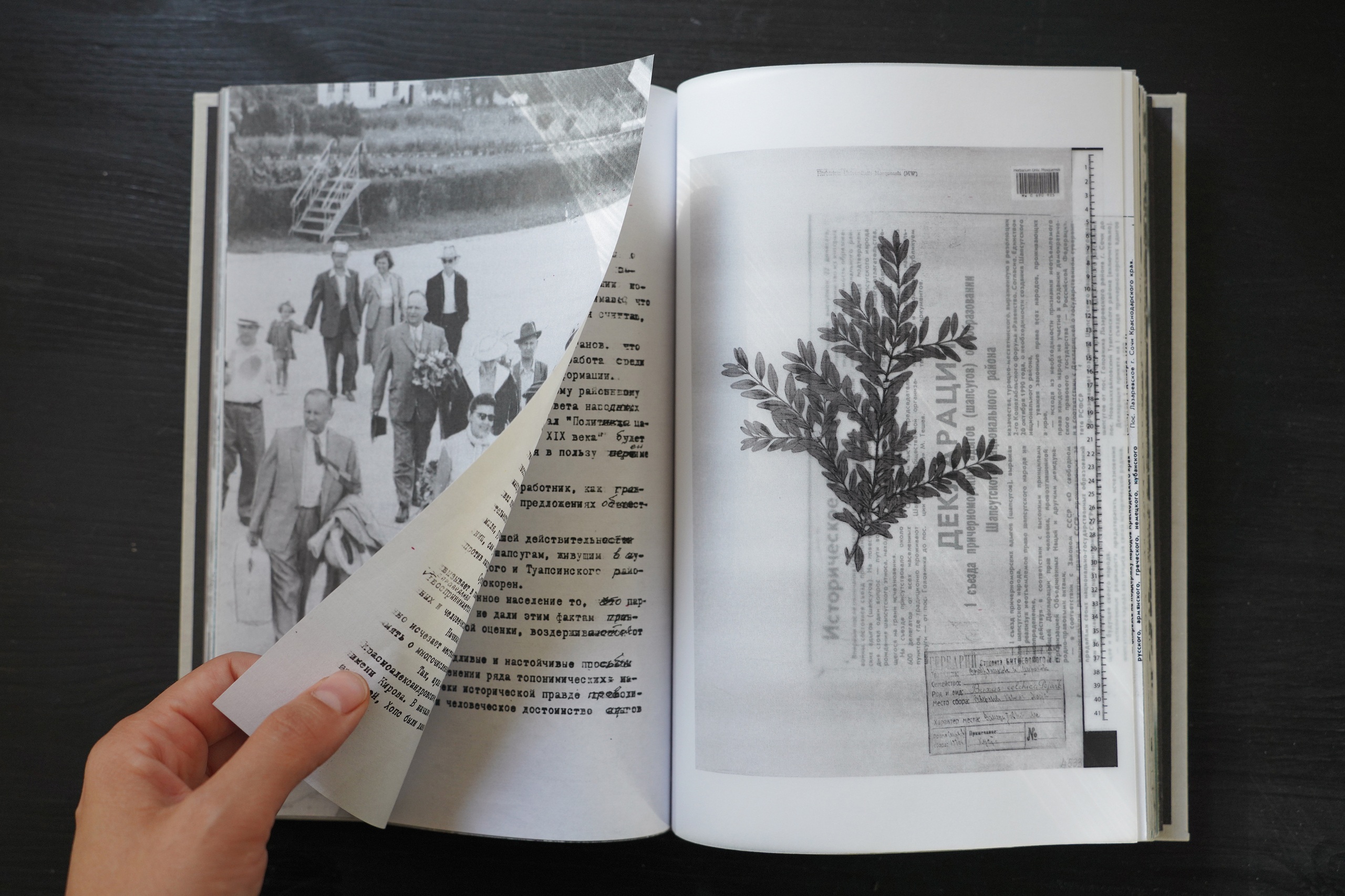 Разворот книги &laquo;Даже самшит не помнит&raquo;. 2025Предоставлено художницей