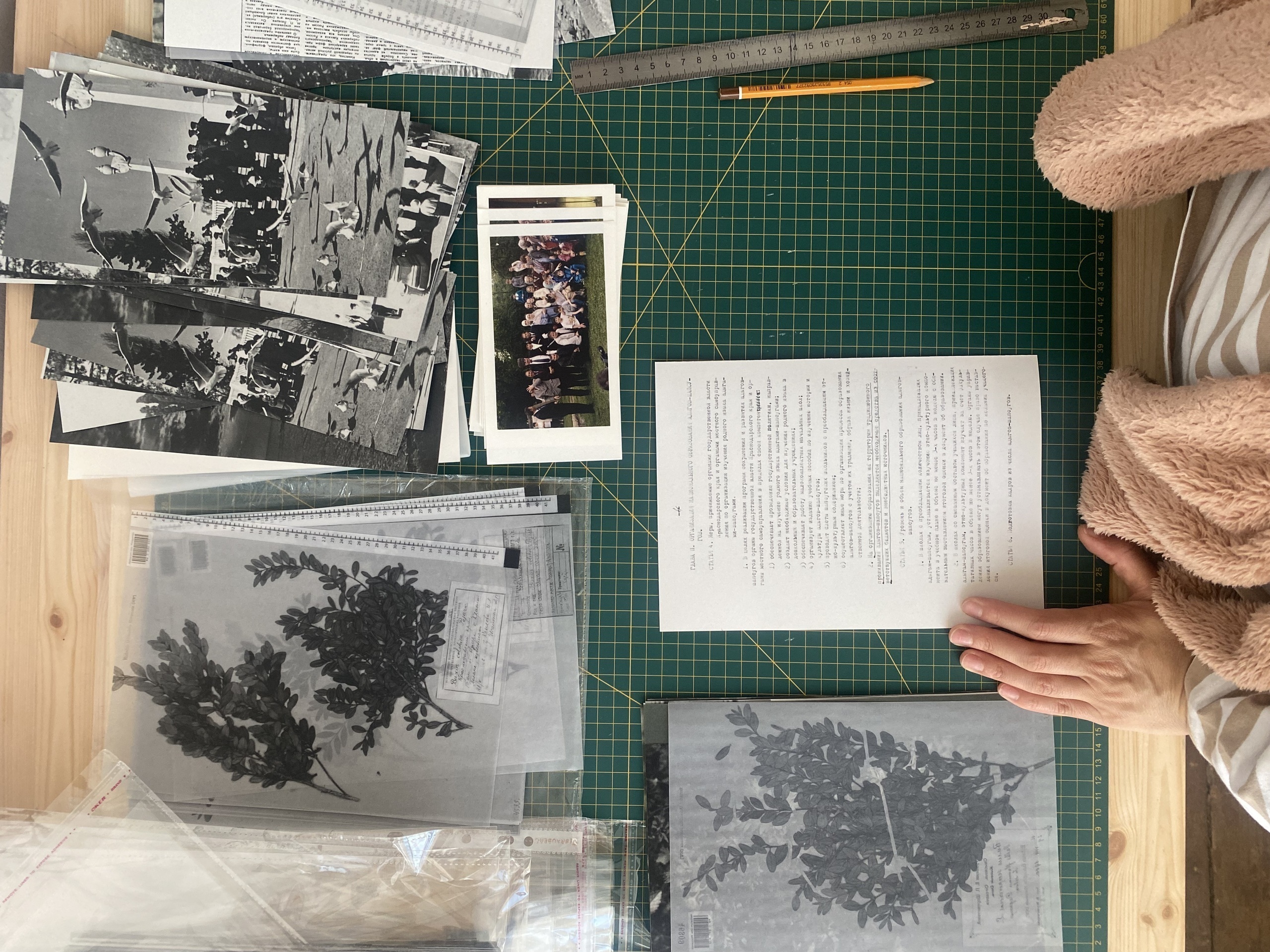 Фрагменты книги &laquo;Даже самшит не помнит&raquo;. 2025Предоставлено художницей