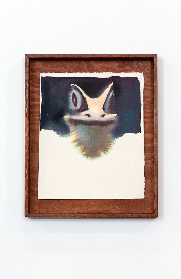 Алина Кугуш. Мистер Лягушка. Из проекта «Бунт вещей». 2025.Фото: Алексей Боголепов для «Пространства А»