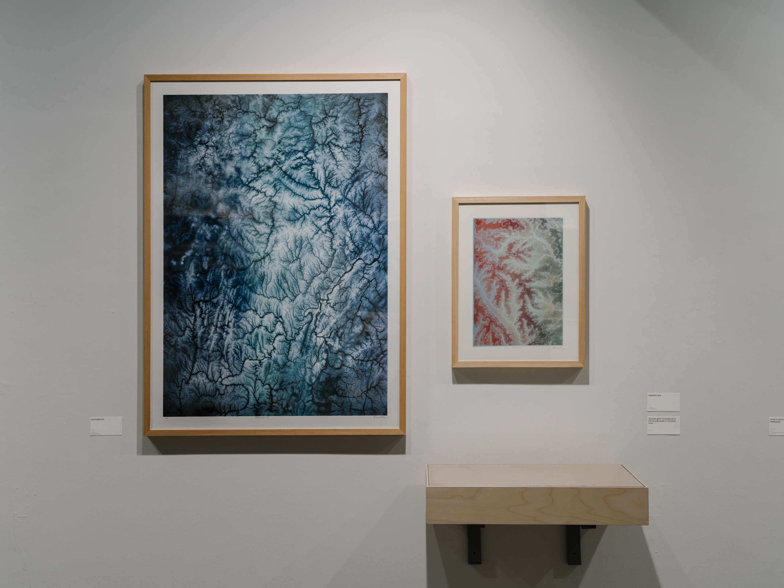 Елена Аносова. &laquo;Бассейн № 1&raquo; и&nbsp;&laquo;Одеяло № 4&raquo;. 2025. Фото: Павел Басин. Предоставлено Еленой Аносовой