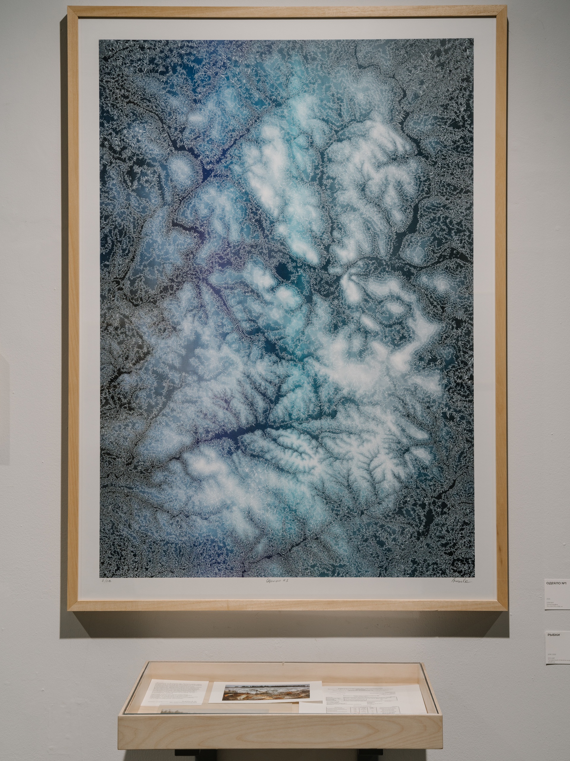 Елена Аносова. Одеяло № 1. 2025. Фото: Павел Басин. Предоставлено Еленой Аносовой