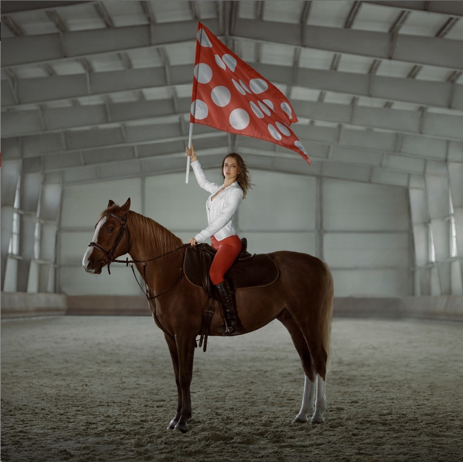 Polina Kanis New Flag, 2013 Courtesy of Triumph Gallery