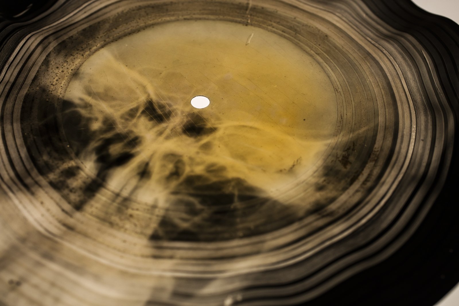 Фрагмент поврежденного рентгеновского снимка с аудиозаписью. 2017Цифровая фотопечать. 50 &times; 74 смПредоставлено X-Ray Audio, Лондон