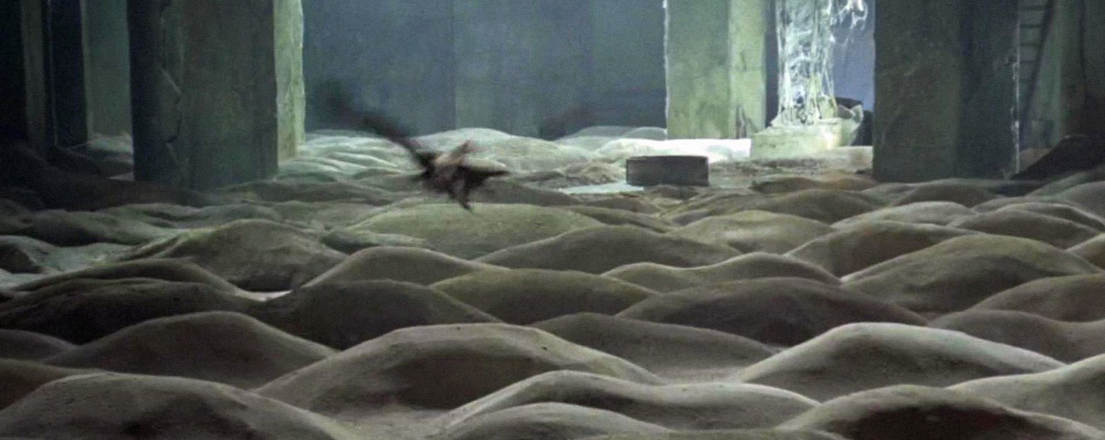 Image: Still shot from the movie Stalker, dir. Andrey Tarkovsky, 1979