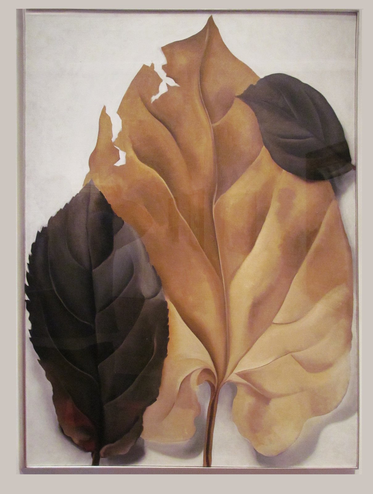 Джорджия О'Киф. Жёлто-коричневые листья. (с.) de Young Museum