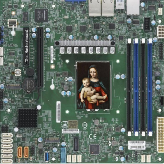 Маша Данцис The Motherboard
